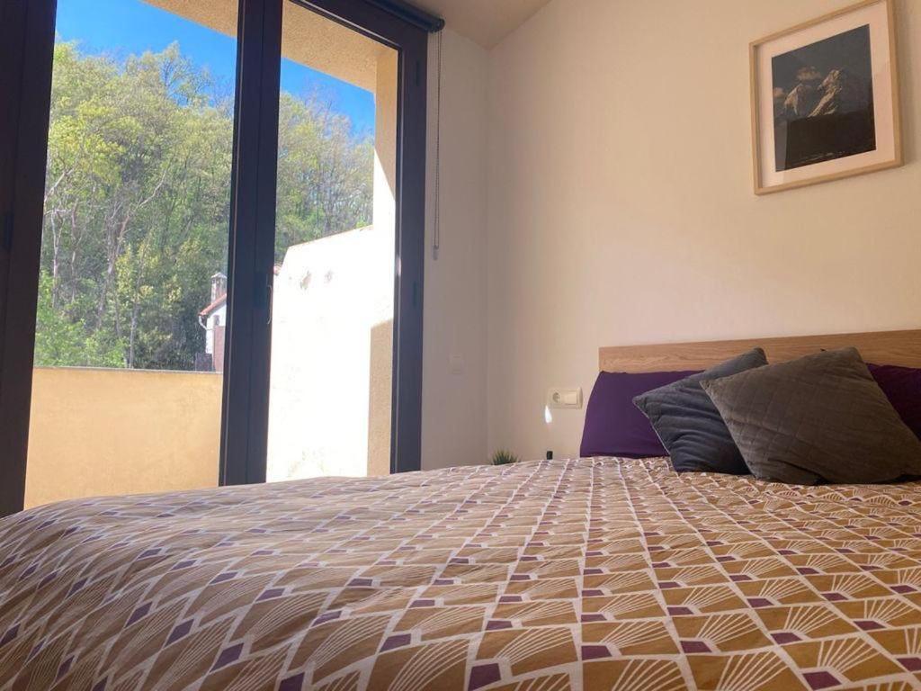 Ferienwohnung Duplex En Guardiola de Berga Exterior foto